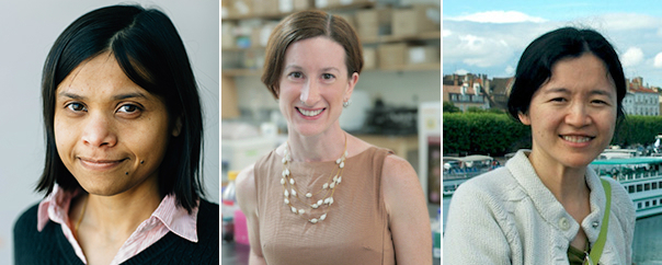 Photo of Sushmita Roy, Kristyn Masters, and Jade Wang, recently promoted women BTP faculty trainers