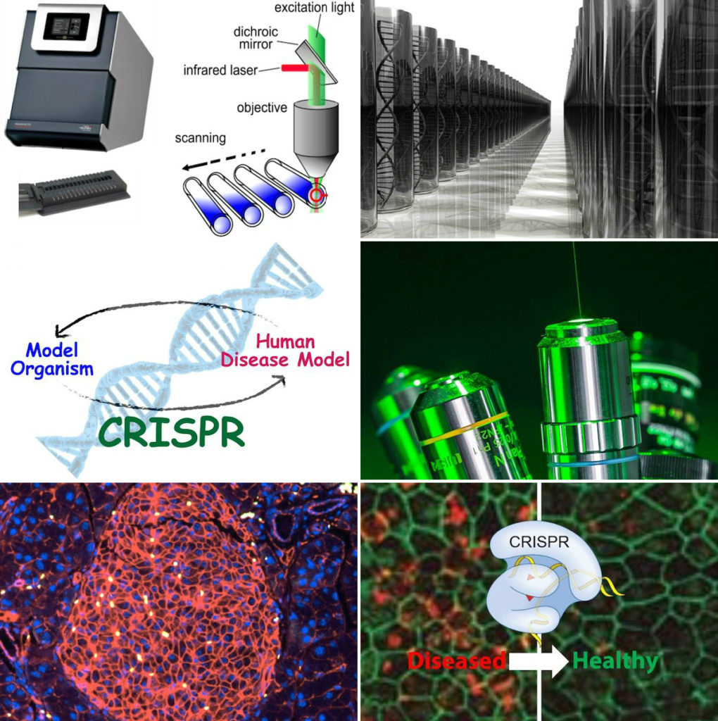 Images illustrating UW2020 Rount 4 projects