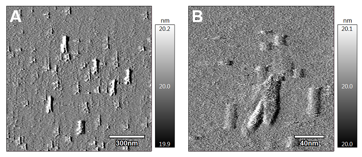 Atomic-scale images of gemcitabine-loaded nanoparticles