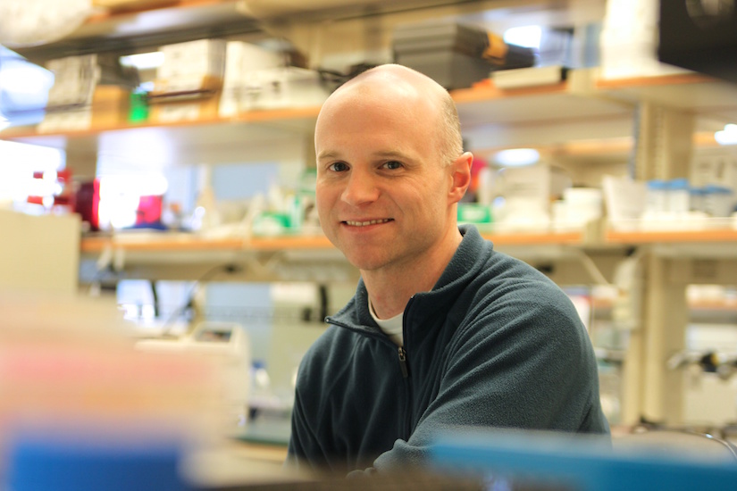 Photo of Biomedical Engineering Professor William Murphy