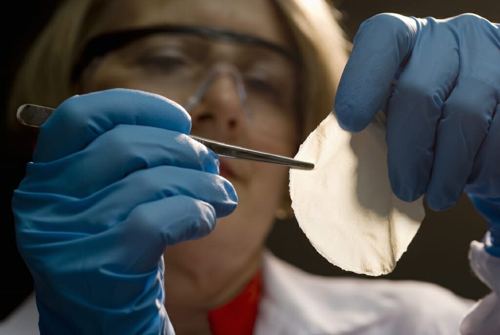 UW–Madison scientist Lynn Allen Hoffman