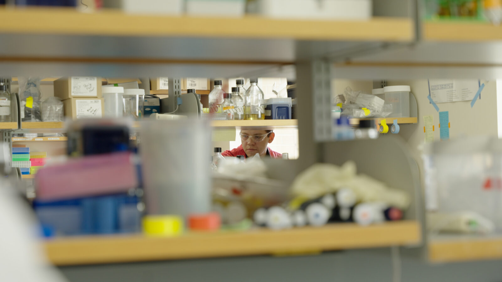 Bill Heelan works at Bench in Jason Peters' Lab.