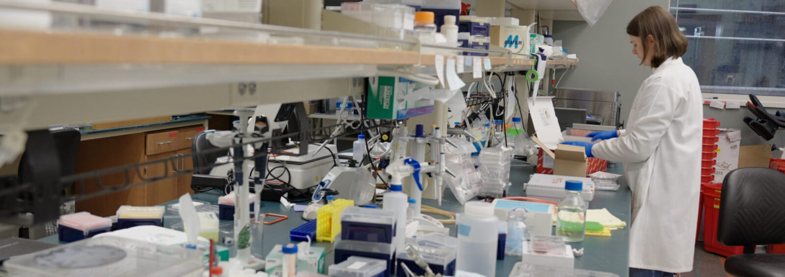Julie DuClos Working at Lab bench